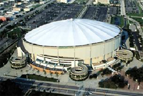 Picture of Tropicana Field (Suncoast Dome) Photo for project