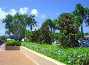 Florida Building Schools .com Project Presenter