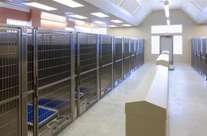Picture of Kent County Animal Shelter Photo for project