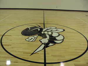 Picture of Central Montcalm Schools Photo for project
