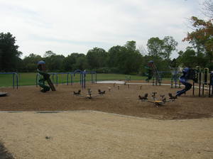 Picture of Bowen Elementary Playground Photo for project