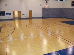 Picture of Forest Hills Northern-Central Woodland Photo for project