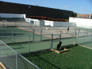 Picture of Whiskers Pet Resort & Spa Photo for project
