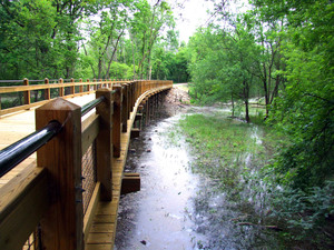 Boardwalk over wetlands Photo for project