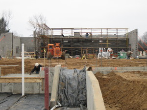 Picture of Perrigo Company Photo for project