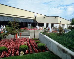 Picture of Perrigo Company Photo for project