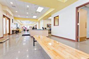 Picture of Allendale Animal Hospital Photo for project