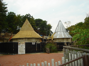 Picture of John Ball Zoo - African Lion Exhibit Photo for project
