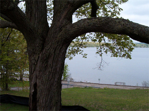 Picture of Fife Lake Area Sanitary Sewer Photo for project