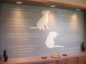 Picture of Michigan Veterinary Specialists of Grand Rapids Photo for project