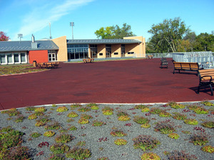 Picture of East Grand Rapids Municipal Complex - Wege Plaza Photo for project
