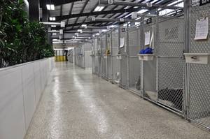 Picture of Whiskers Pet Resort & Spa Photo for project