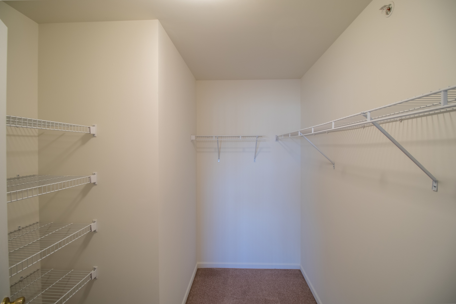 Photo for Bloomfield II - Unit 188