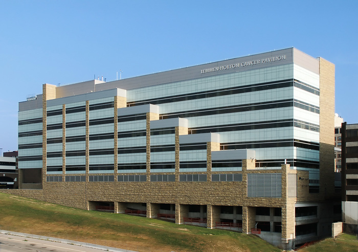 Lemmen holton cancer center