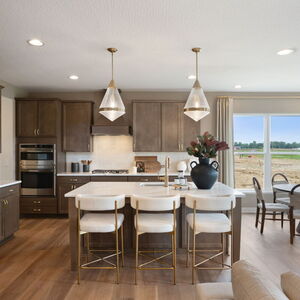 Photos for 210 River Birch Drive