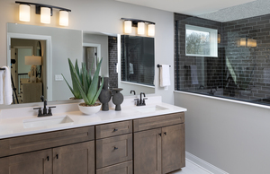 Primary Bath with Walk-in Shower Option