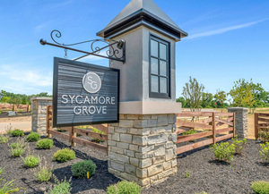 Sycamore Grove - 6484 Bemington Trail NW  photo