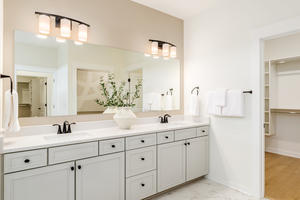 Spa-Inspired Primary Bath