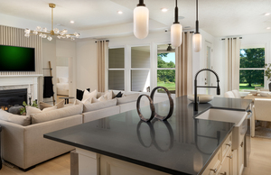 Seamless Kitchen & Living