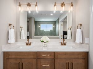 Dual Vanities